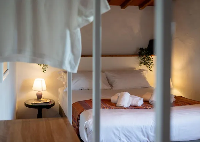 فيلة Sunset غريفي ان شنتي