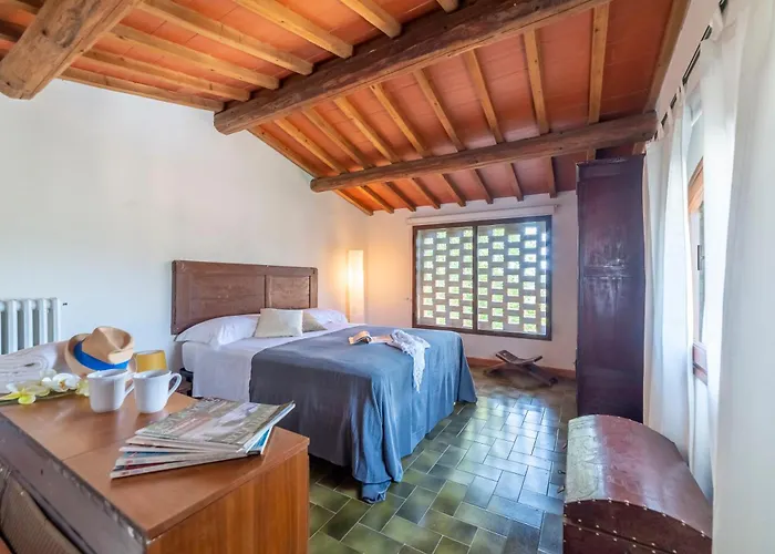 Sunset * غريفي ان شنتي